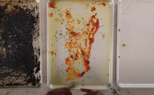 Najlakši način za čišćenje tvrdokornih mrlji na posuđu: Tajna leži u ove dvije namirnice