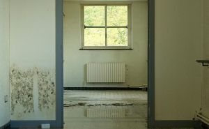 Spriječite pojavu buđi bez velikog napora: Dovoljno je da postupate po ovim uputama