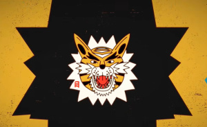 The Hoosiers - Automatic Glow