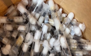 Uhapšen Kinez i njegov saradnik: Pokušali prokrijumčariti više od 2.000 živih mrava