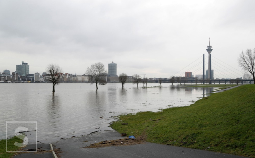 Nestašica vode problem i u Njemačkoj: "Čitave populacije riba, vodozemaca i školjki mogu da uginu"
