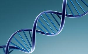 Istraživači u Firenci  koriste DNK analizu za identifikaciju žrtava masakra u Ardeatinskim pećinama