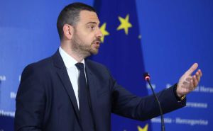 Magazinović poručio delegatima Doma naroda: "Usvojite dopune zakona o akcizama i zaštitite građane!"