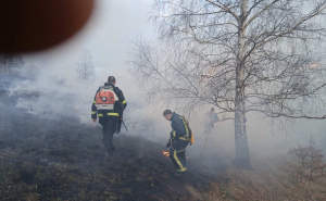 Požar kod Sarajeva, vatra krenula prema naselju: Vatrogasci brzo reagovali