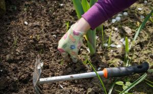 Kraj marta je idealno vrijeme za prve radove u vrtu: Ovo su koraci - odakle početi