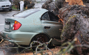 Oluja napravila haos u susjedstvu: Povrijeđene dvije osobe, autobus udario u stijenu...