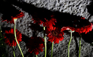 Na današnji dan fašisti su objesili 55 Sarajlija, ali duh ovog grada nikada nisu slomili