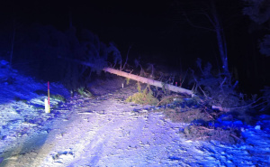 Olujno nevrijeme pogodilo Sloveniju: Udari vjetra preko 100 km/h, hiljade ljudi ostalo bez struje