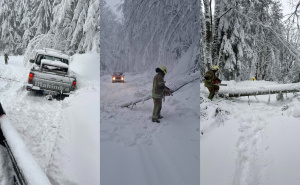 Vatrogasci intervenisali: Spasili putnike na Kozari, evakuisano 6 osoba iz zaglavljenih vozila