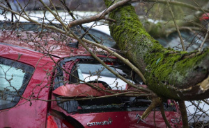 Saniraju se posljedice nevremena u Zagrebu: Plenković poručio da su štete velike