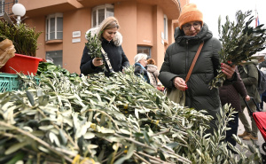 Kršćani danas obilježavaju Cvjetnicu: Počinje Velika sedmica prije Uskrsa