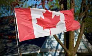 Savjetnica bh. ambasadora u Kanadi: Šta vam je potrebno za odlazak na prvu utakmicu na Mundijalu?