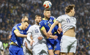 Kako njemački mediji pišu o euforiji u Bosni i Hercegovini nakon plasmana na SP?