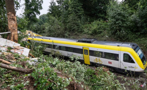 Njemačka: Mladić aktivirao eksplozivnu napravu u vozu, prijetio da će pobiti putnike