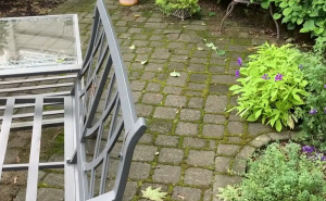 Zaboravite skupe preparate: Jedan kuhinjski sastojak trajno uklanja mahovinu s pločnika