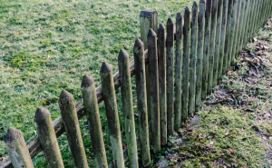 Ne dozvolite da vam propadne ograda: Stručnjaci otkrivaju šta morate uraditi ovog mjeseca