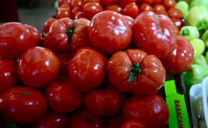 Sada je pravo vrijeme: Pogledajte kako da poboljšate rast paradajza uz jednu namirnicu