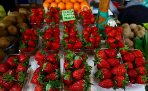 Jagode stigle, ali po kakvoj cijeni: Pogledajte razliku između Zagreba i Sarajeva