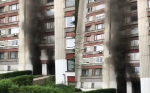 Požar na Alipašinom Polju: Vatrogasci izašli na teren