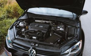 Budite jako oprezni: Ako dugo ne vozite automobil može postati utočište za štetočine