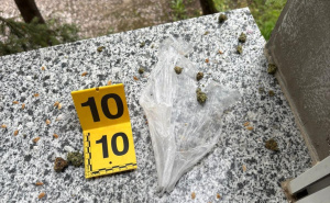 Pretresi u Bihaću: Pronađena droga i oružje, jedna osoba uhapšena