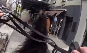 Nevjerovatne scene u New Yorku: Kako izgleda potjera za kriminalcem na konju?