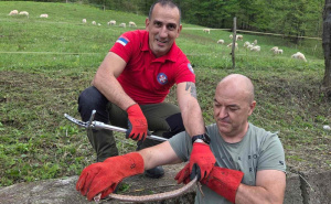 Zmije otrovnice uočene u blizini škole u BiH: GSS brzom reakcijom uhvatio ženku