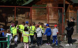 Pionirska dolina poziva građane na porodično druženje: Igre, radionice i koncert Kiketa