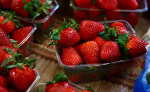 Sezona je jagoda: Donosimo jednostavne trikove koji usporavaju truljenje i produžavaju svježinu