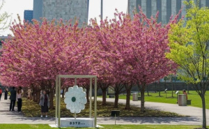 Ujedinjene nacije objavom obilježile dolazak proljeća uz "Cvijet Srebrenice" u New Yorku