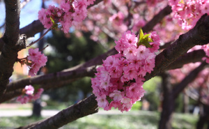 Oni neka se pripreme: Tri znaka Zodijaka kojima će maj donijeti promjene