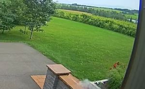 Najefikasniji način za čišćenje dvorišta: Crne mrlje će doslovno nestati