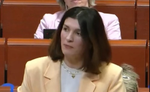 Ćudić u Vijeću Europe o skandaloznom zakonu Izraela: "Šutnja je saučesništvo"