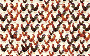 Samo geniji rješavaju za 5 sekundi: Pronađi kokoš među pijetlovima