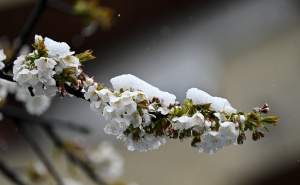 Poznati regionalni meteorolog najavio obrat: Nakon sunca stiže novo zahlađenje, moguć i snijeg