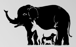 Koliko životinja možete pronaći za 10 sekundi? Test koji otkriva vašu moć zapažanja