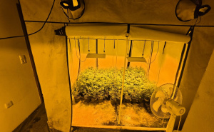 Akcija 'Aries': Poznat identitet 31-godišnjakinje koja je uhapšena u Sarajevu