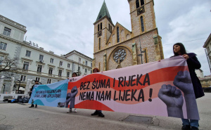 Umjetnički performans ispred zgrade Vlade FBiH: 16 godina ne postoji jedinstveni Zakon o šumama