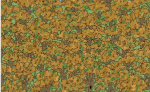 Rijetki uspiju: Možete li pronaći vjevericu koja se sakrila u parku ?