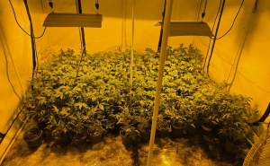 Aries | Predložen pritvor osumnjičenoj Ilani Begić Balen kod koje su pronađene laboratorije za drogu