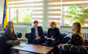 Federalna uprava za inspekcijske poslove i UNDP održali sastanak o položaju žena u službi