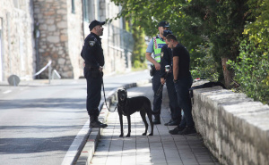 Pijan dojavljivao da su bombe podmetnute u školama u Dubrovniku. Uhapšen je