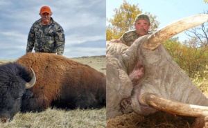 Lov na antilope završio tragedijom: Milioner stradao u susretu sa slonovima