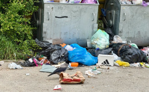 Prvomajska 'razglednica' sa Ciglana: Deponija smeća umjesto naselja