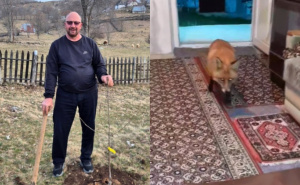 Neobično prijateljstvo: Jusuf je Prvi maj proveo s lisicom, najprije su doručkovali, pa prošetali
