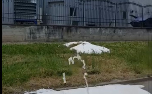 Nesvakidašnja scena u Srbiji: Gejzir od piva na sred ulice
