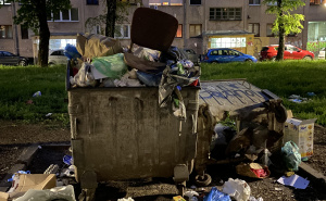 Novi problemi s odvozom otpada na Grbavici: Građani apelirali nekoliko puta, kontejneri probušeni