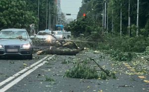 Jako nevrijeme pogodilo Zagreb: Vjetar čupao stabla, obustavljen tramvajski saobraćaj