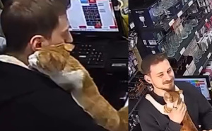 Video koji će vam popraviti dan: U Turskoj mačka dolazi svaki dan u prodavnicu po zagrljaj