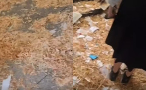 Snimak kruži mrežama: Pogledajte u kakvom stanju su maturanti ostavili školu nakon proslave
